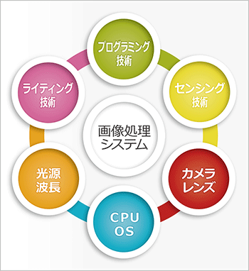 相関図